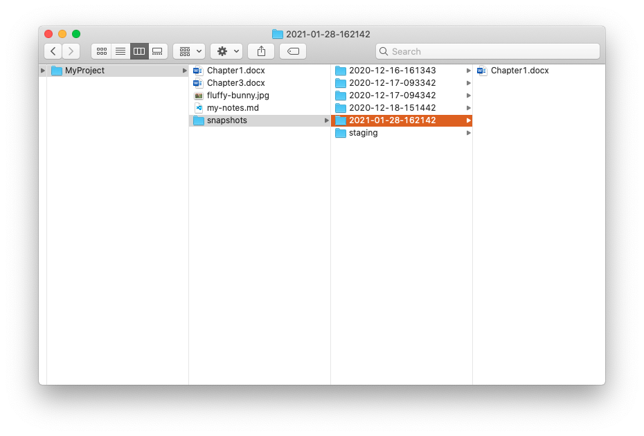 Screenshot of Finder app showing the file in the new snapshot folder