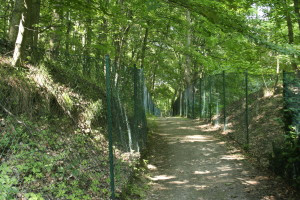 Part of the path goes through private property, so is lined with fences.